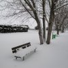la grande nevicata del febbraio 2012 146